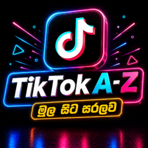 TikTok Growth Strategy